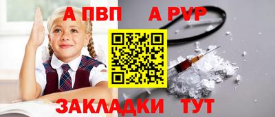 тгк Новозыбков