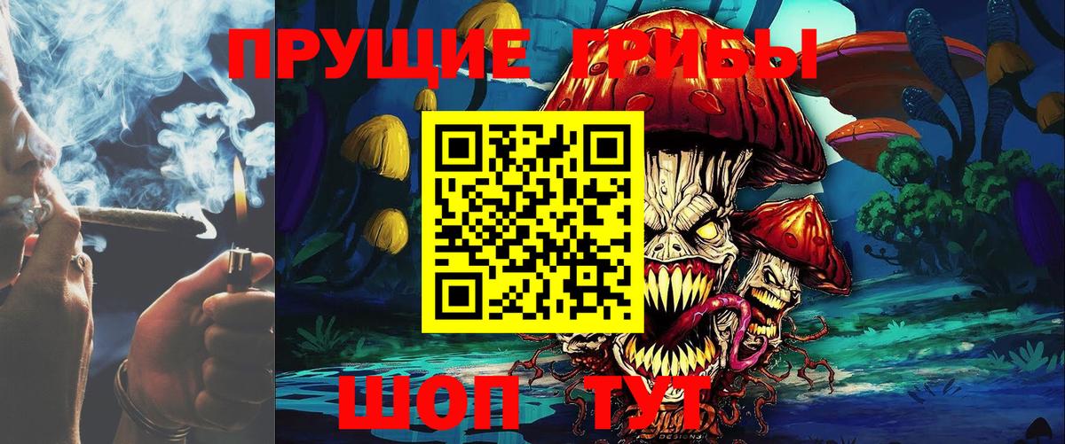 Галлюциногенные грибы Cubensis Урюпинск