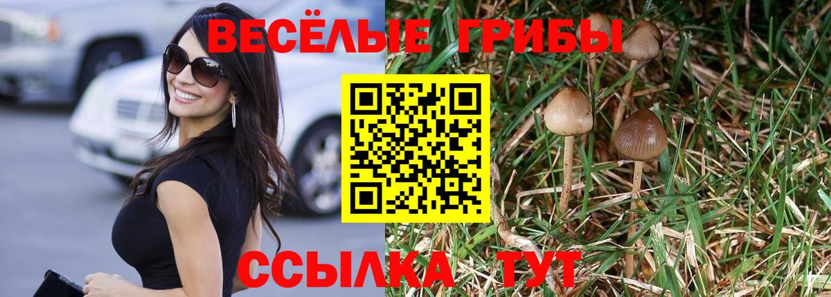 Урюпинск  Псилоцибиновые грибы мухоморы  Вход с VPN 